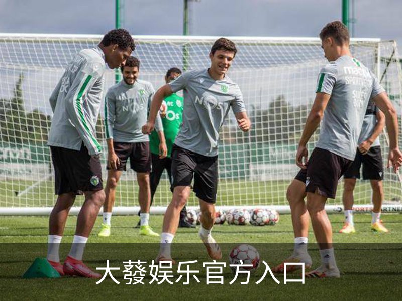 大蕟娱乐官方入口介绍